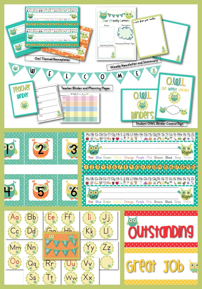 Inside the Owl Theme Classroom