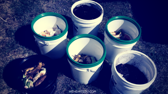 Compost Buckets for Kids